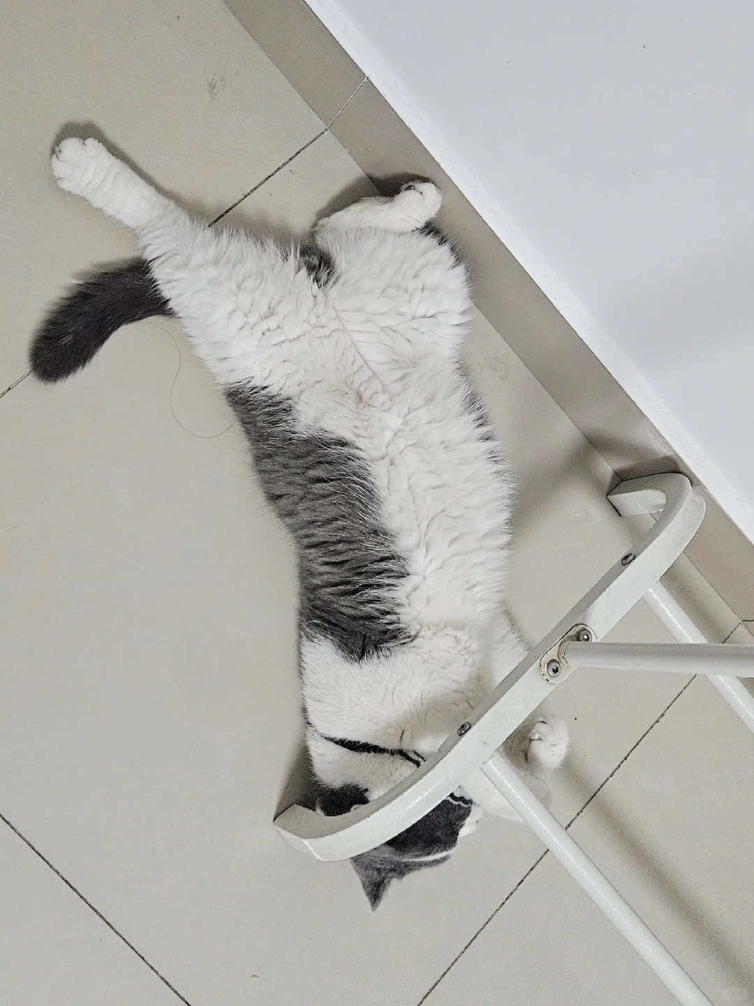 一不小心拍成私房了