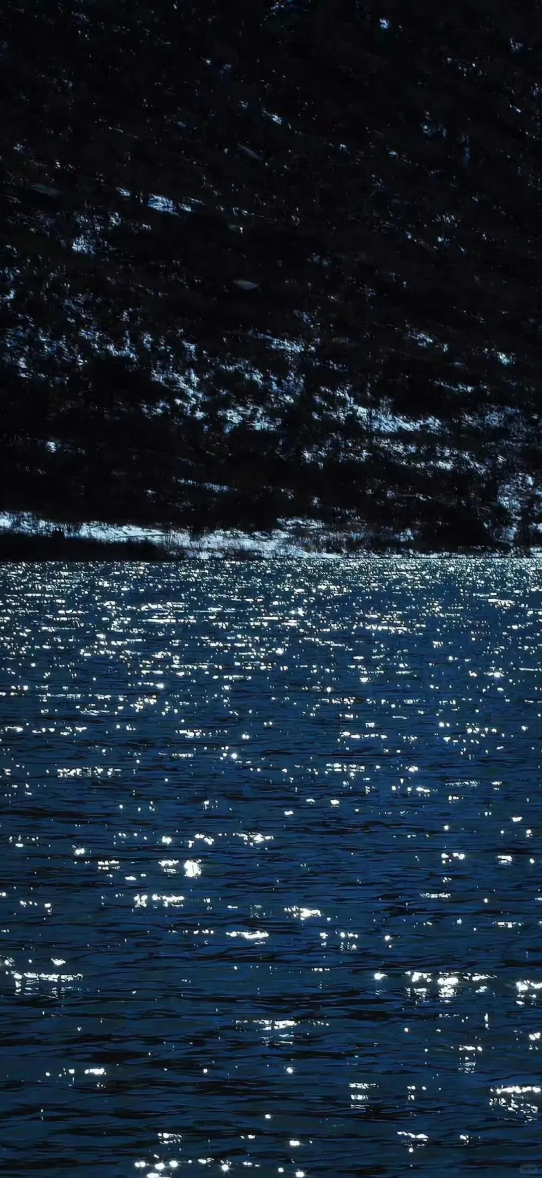 想你时风起 风起意难平