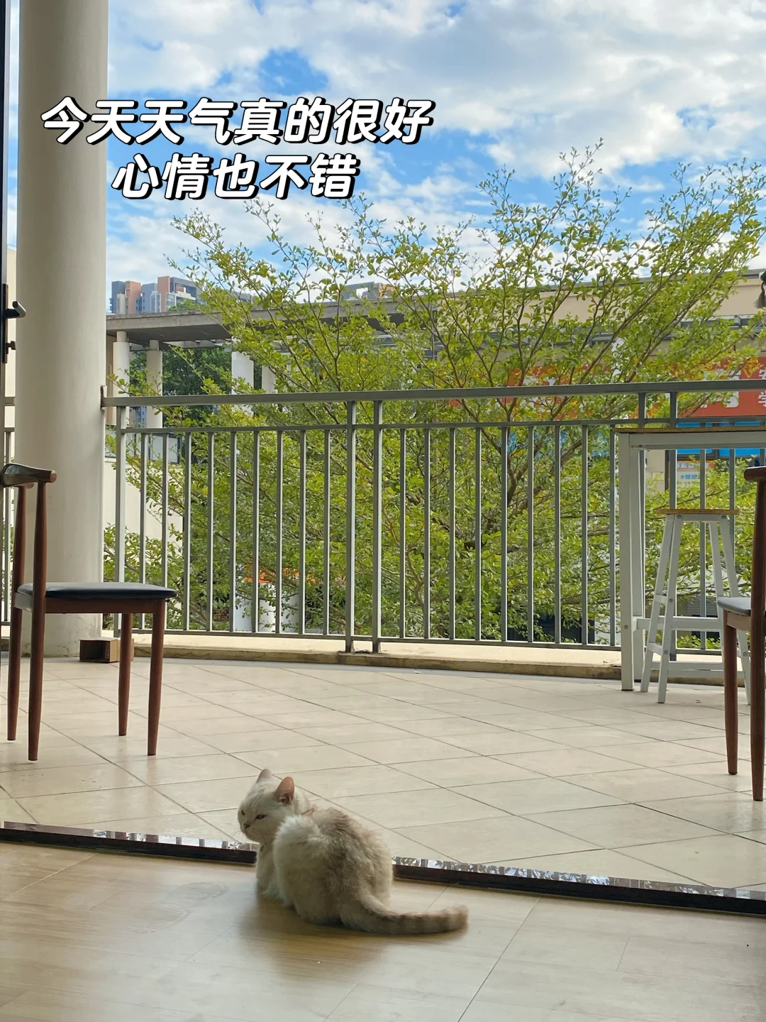 锻炼日常碎碎念