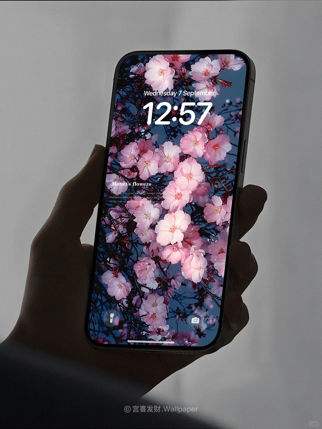 贩卖快乐小花丨G169丨氛围感高级壁纸