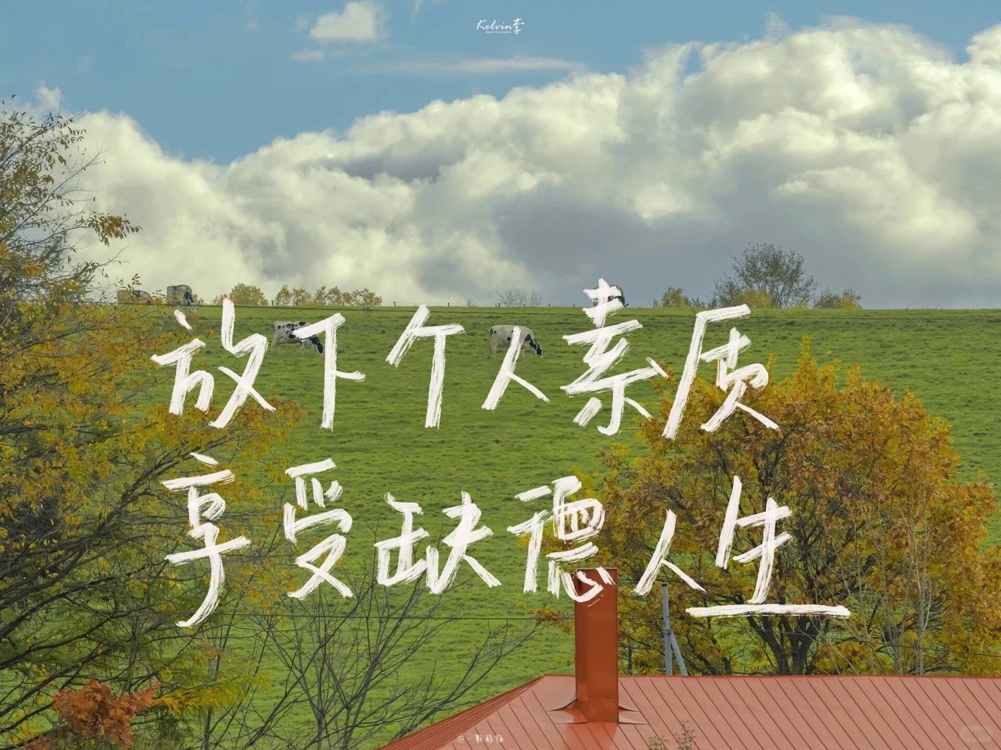 一期手写文字iPad电脑壁纸～