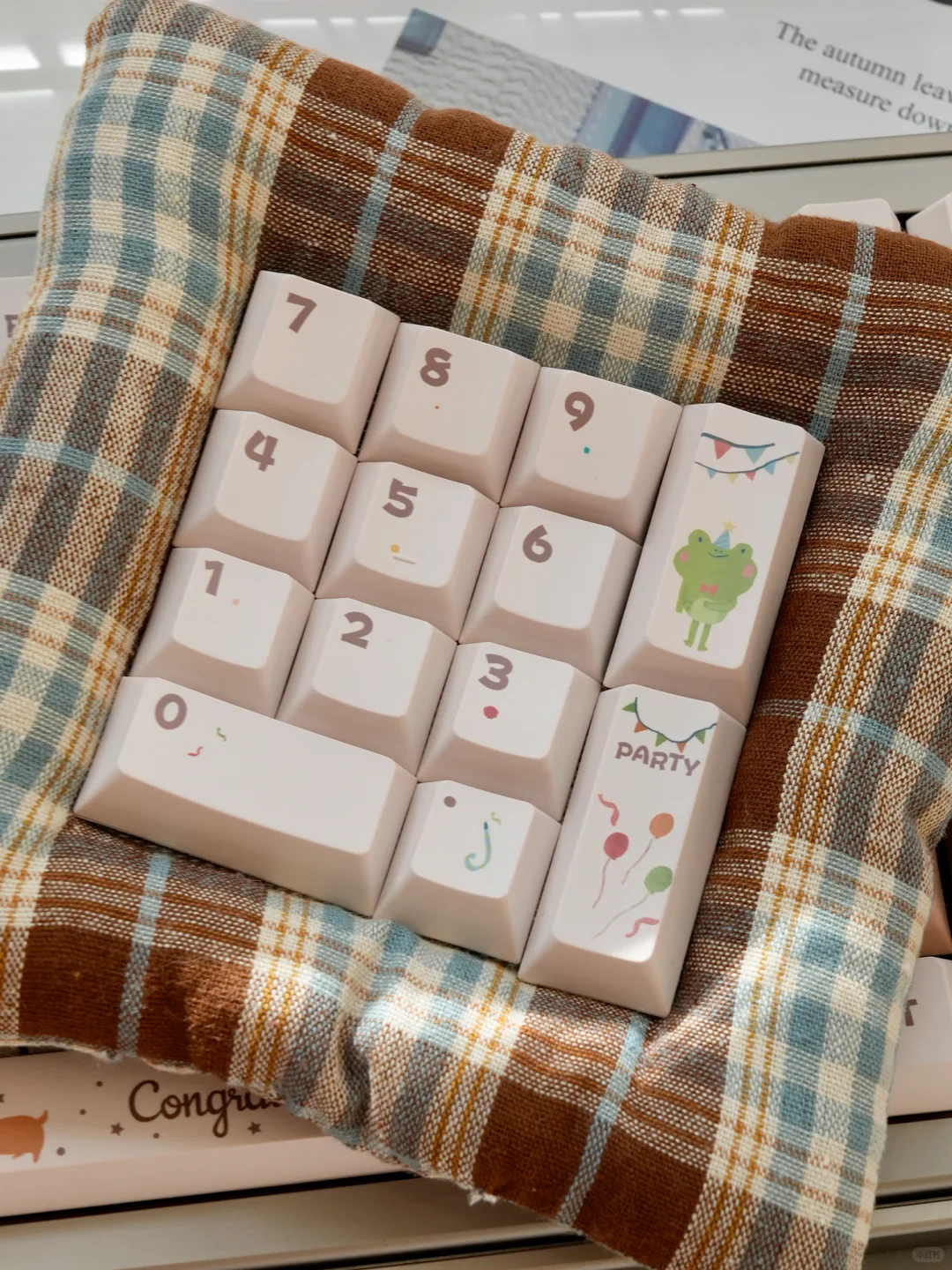 更新 栗野童话实物图~🍂