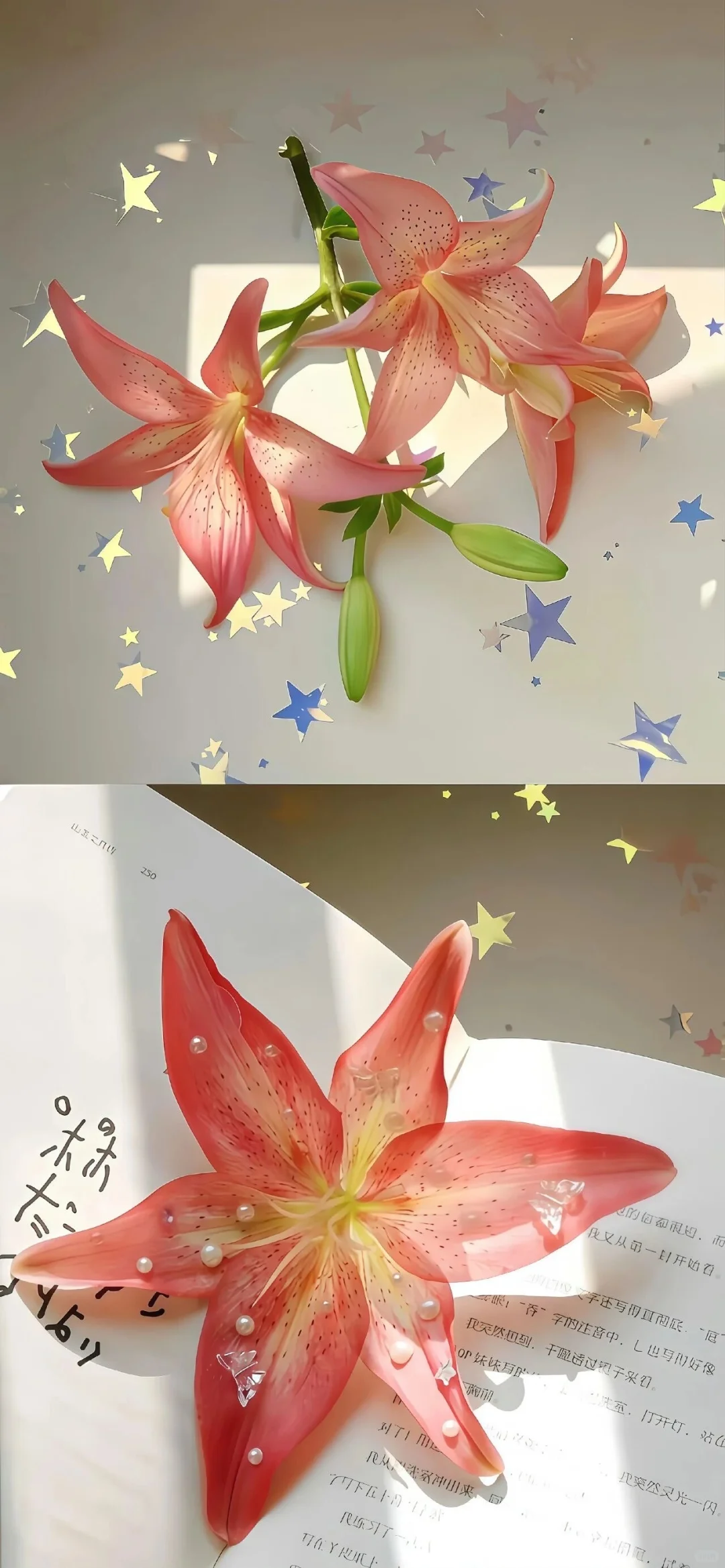 Share/珍藏高清壁纸10.19🥯