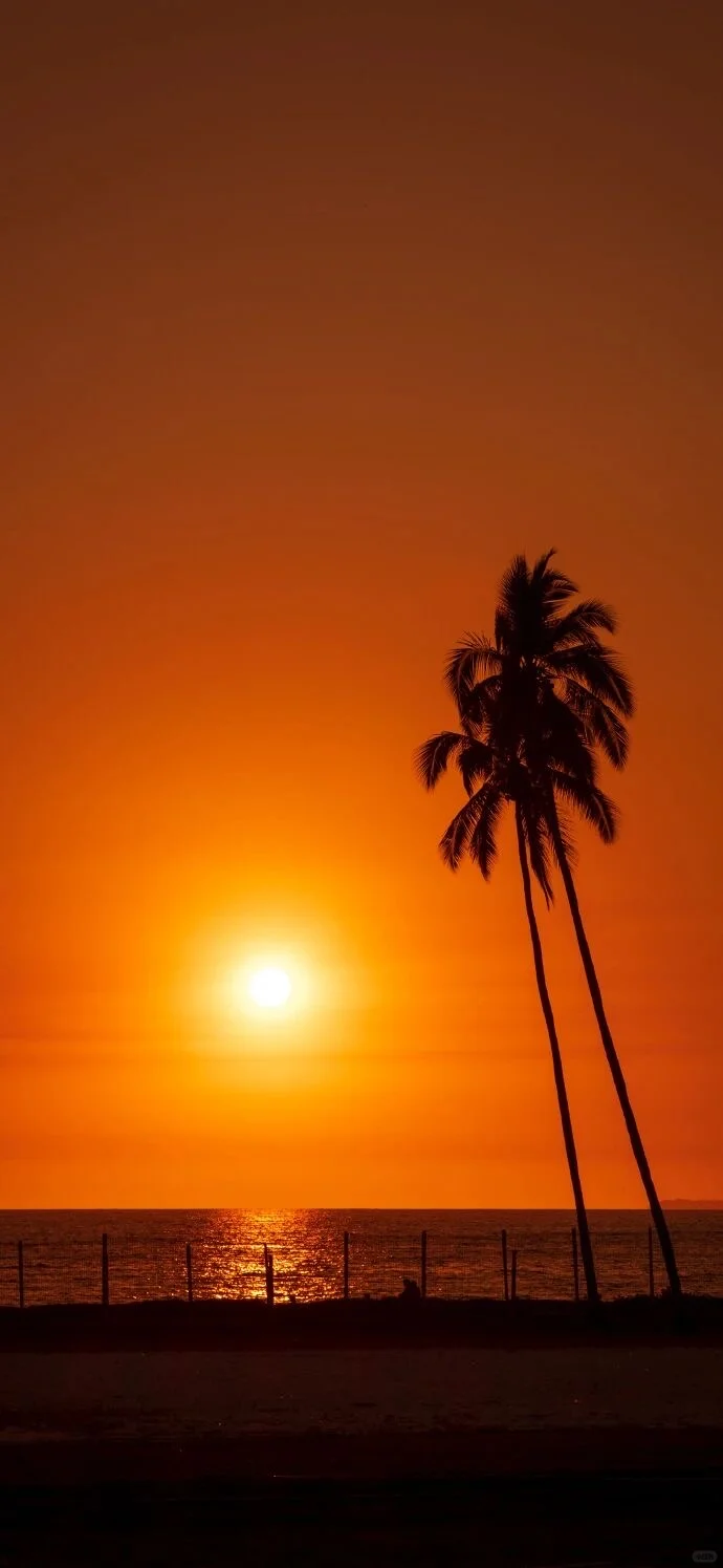 Date丨11.25丨生活碎片壁纸