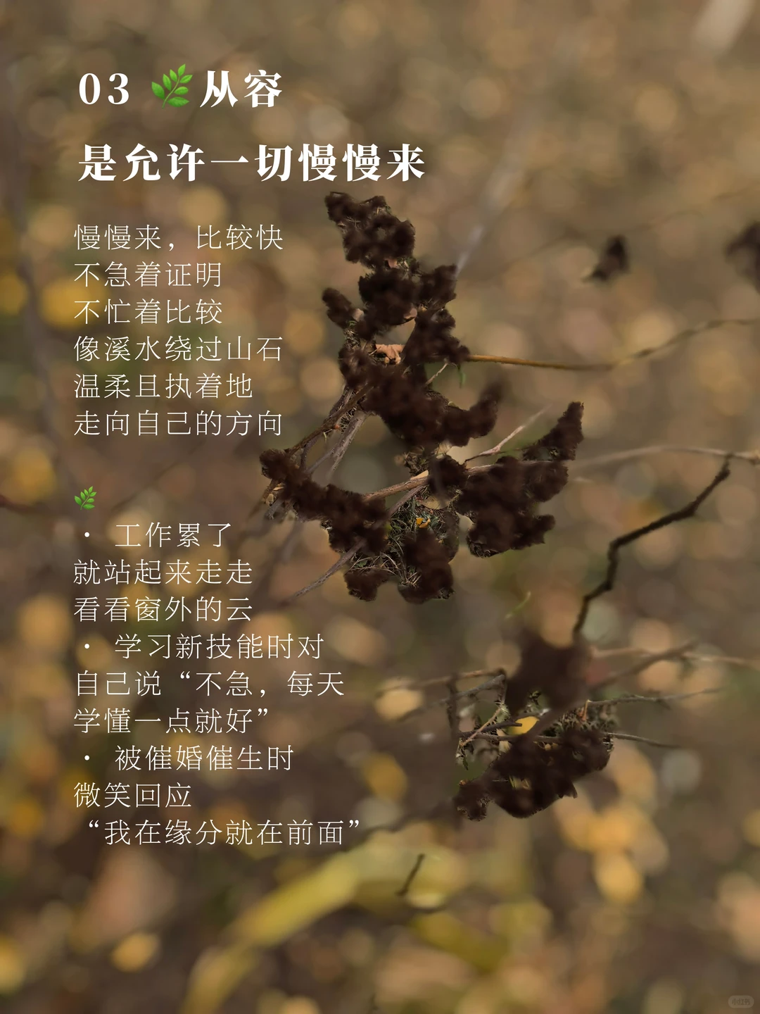 女人，一定要养出“温柔的底气”