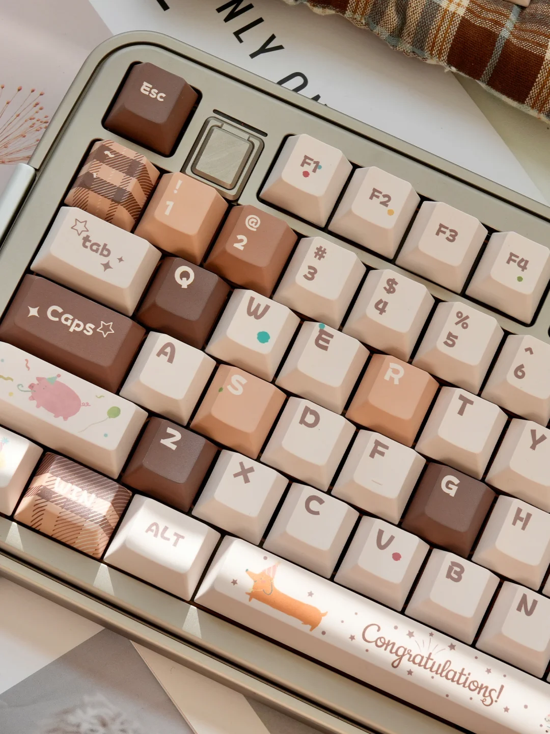 更新 栗野童话实物图~🍂