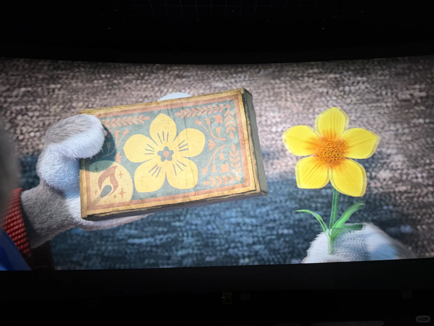 时隔九年我们又见面了🐰 迪士尼电影铁粉