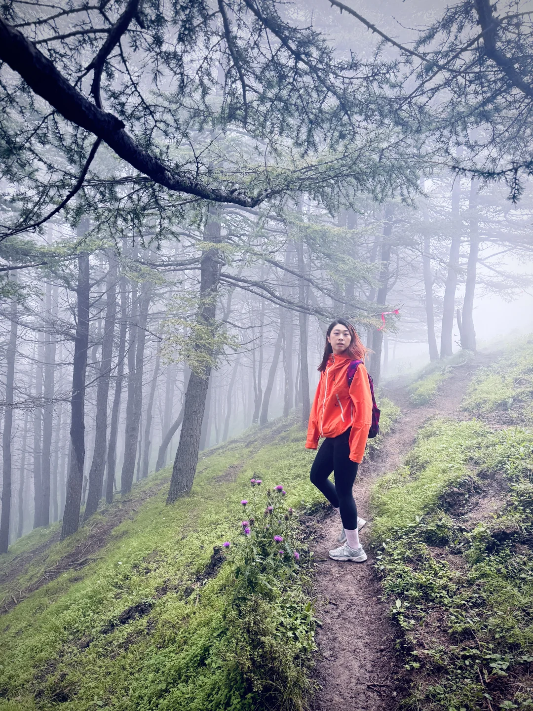 我不漂亮？！没关系，我有鲜活的生命力～🤟