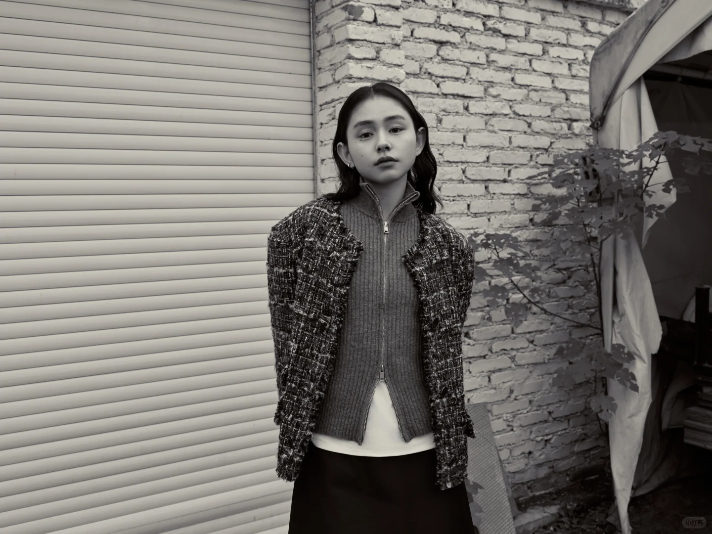 一次轻松的拍摄