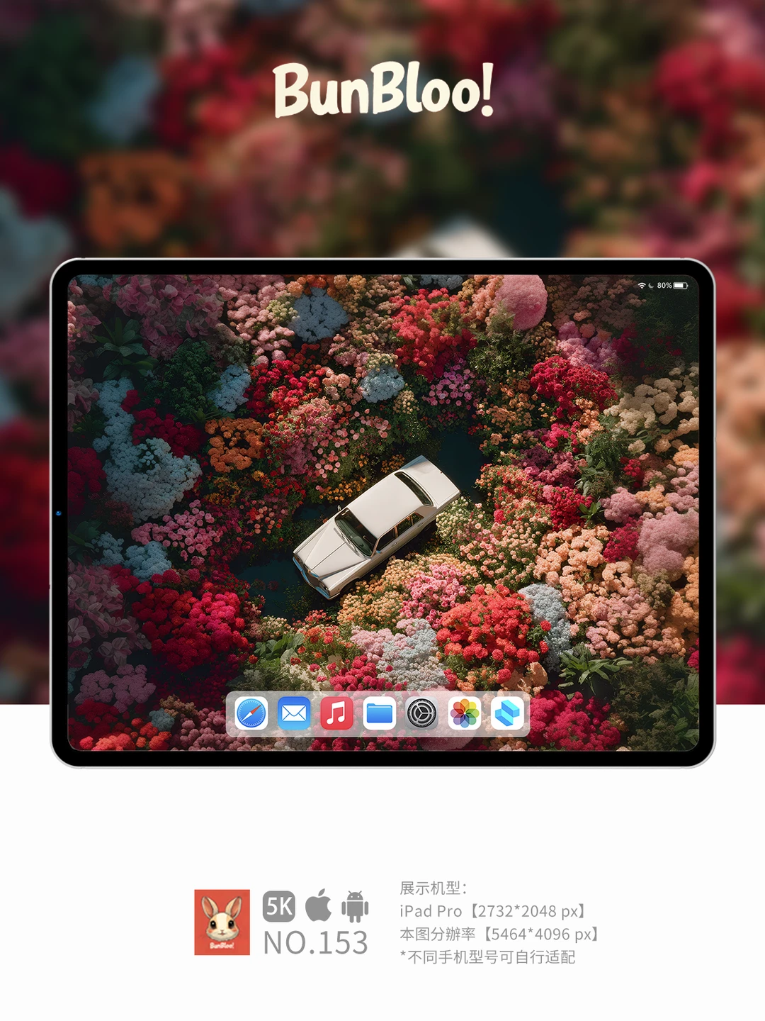 今日份壁纸分享，花花的世界真美啊！｜153