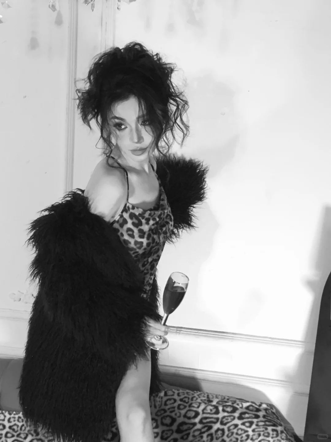 迷人的豹子女士像你问好| 感受夜晚的慵懒