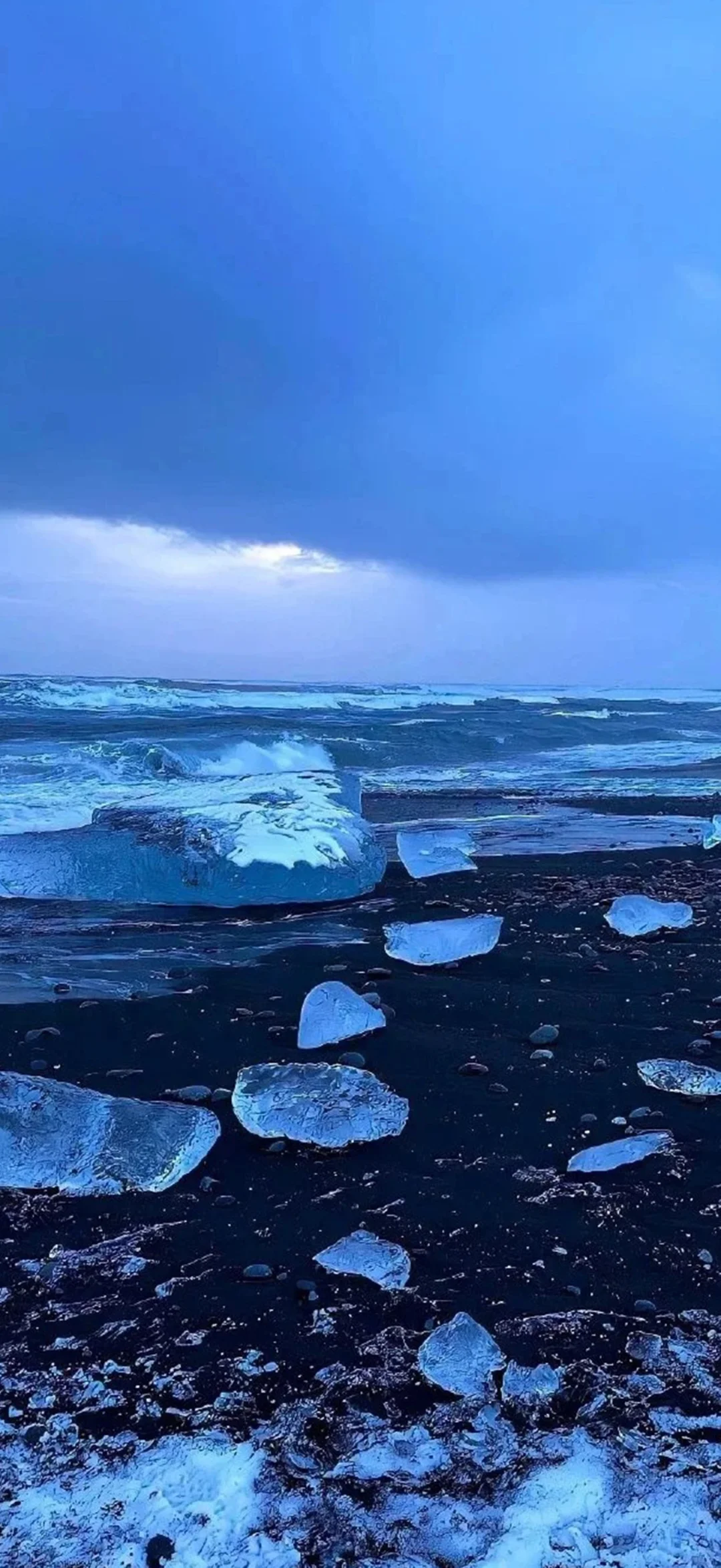想你时风起 风起意难平
