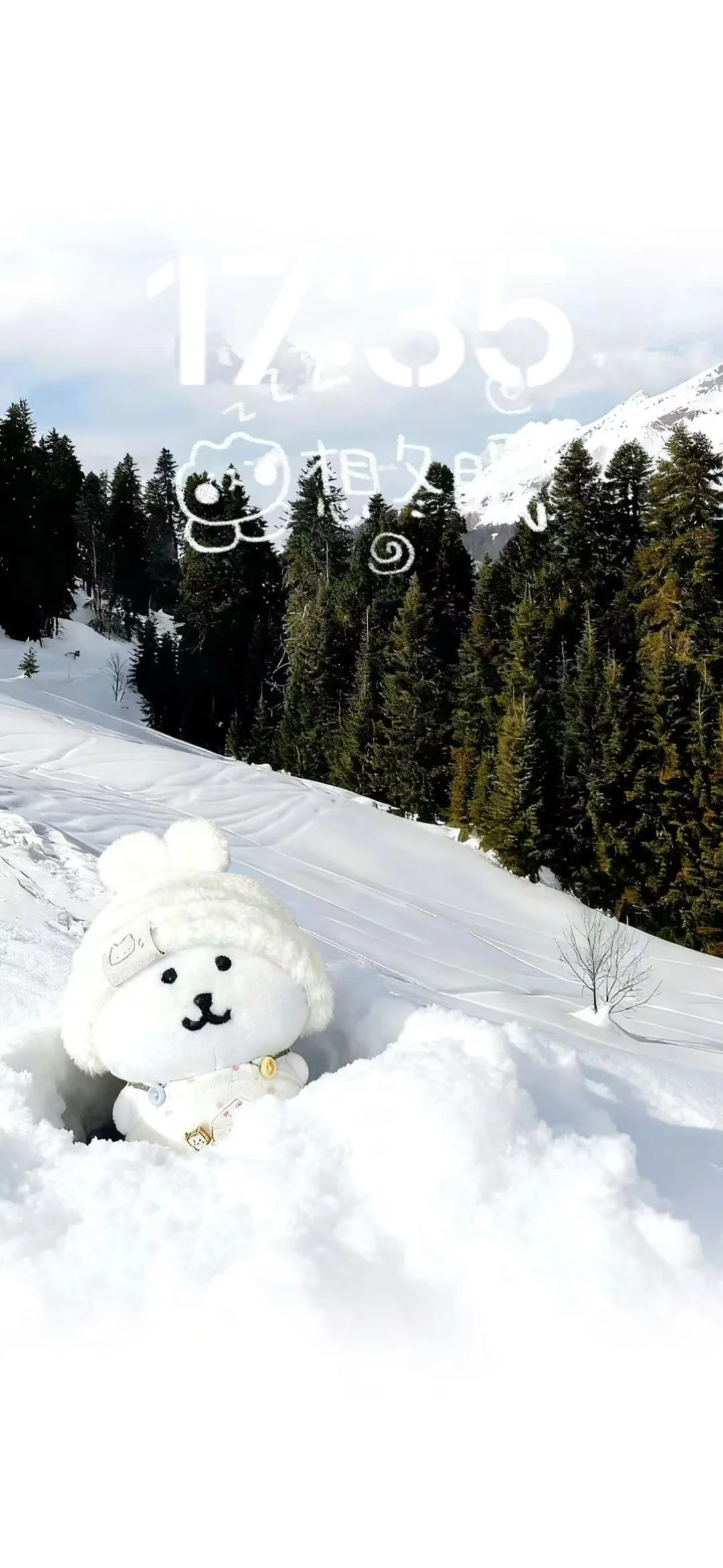 Share｜ins风自嘲熊氛围感壁纸❄️