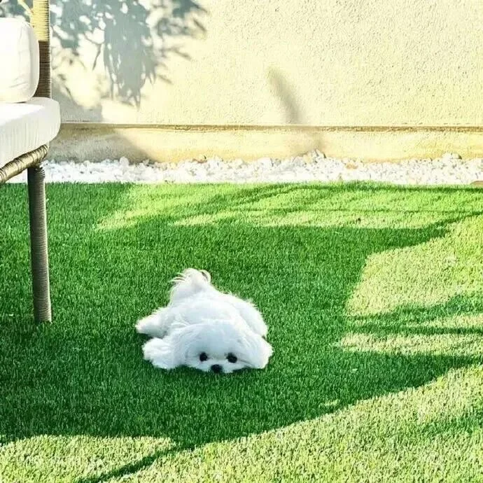 超旺自己偷一句🧡去惊艳你的朋ᩚ友ᩚ圈