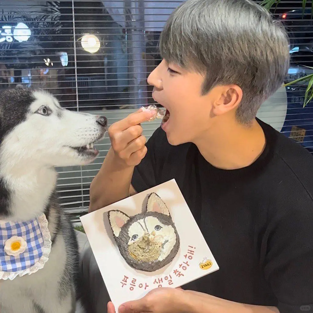 韩国模特：金贤宇