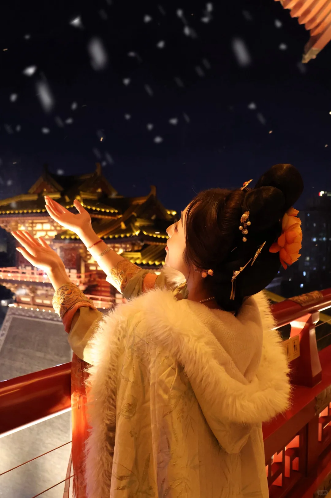 洛阳陪拍｜东京真是富贵迷人眼