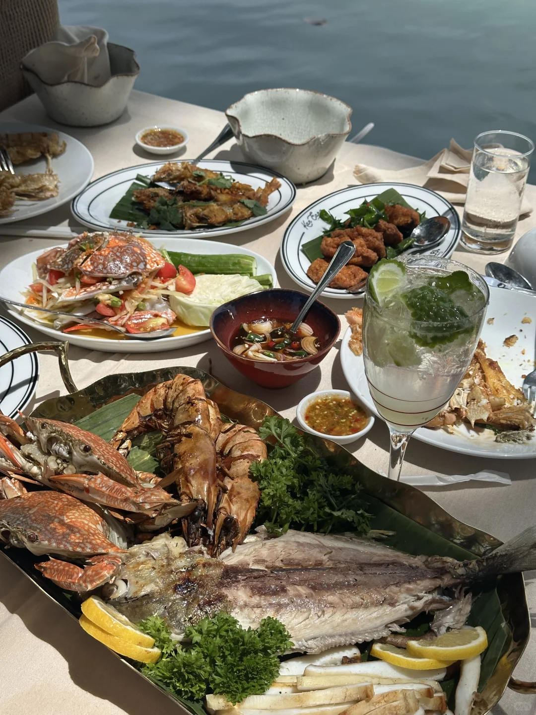 40+ 躺平天天晒太阳😎