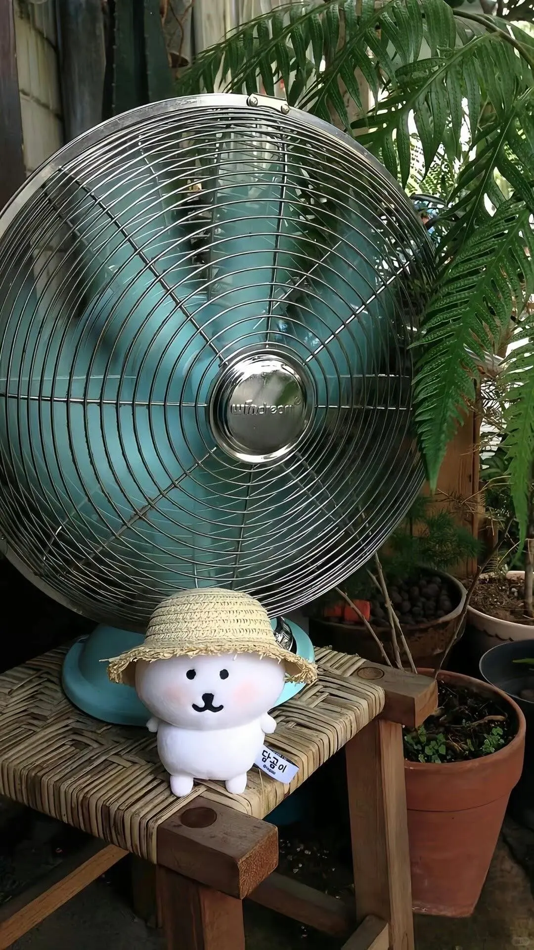 💒 𝐒𝐡𝐚𝐫𝐞｜自嘲熊壁纸