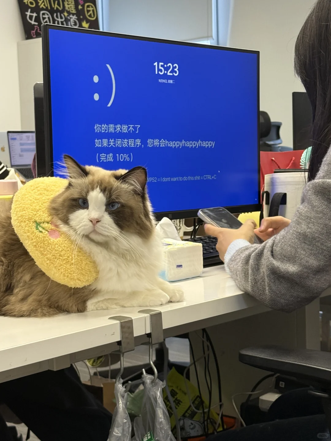 同事用这个壁纸玩手机玩了一下午……