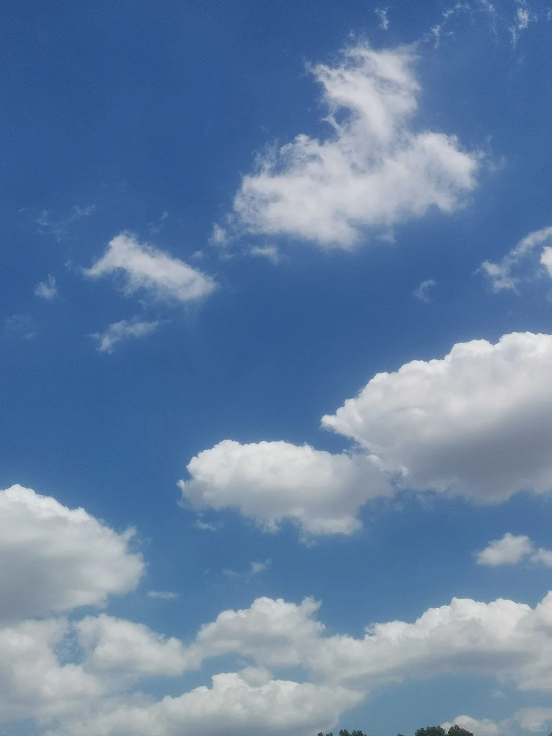 无美颜请浅浅的表扬我一下吧！