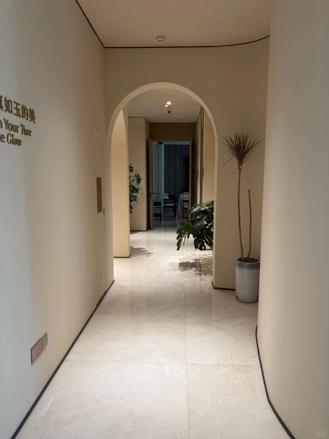 肉肉脸锁死这个项目！太香了！