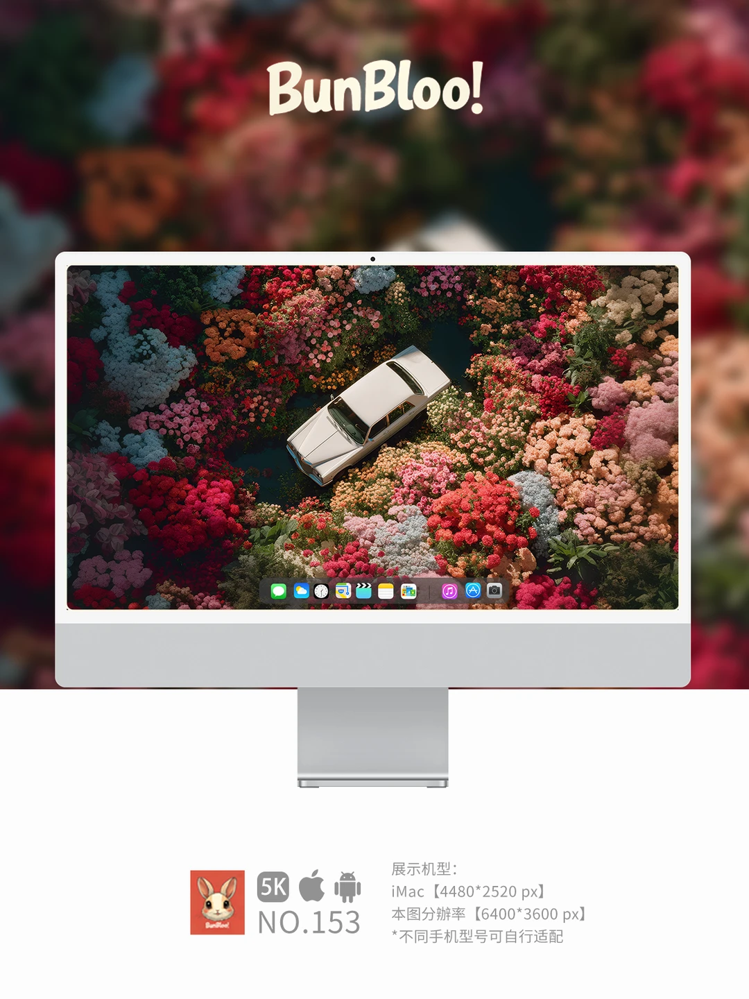 今日份壁纸分享，花花的世界真美啊！｜153