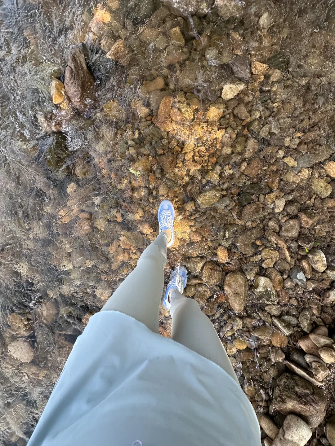 摘野果摸螺丝，我懂了祖先的爽🪺🍄野心友好