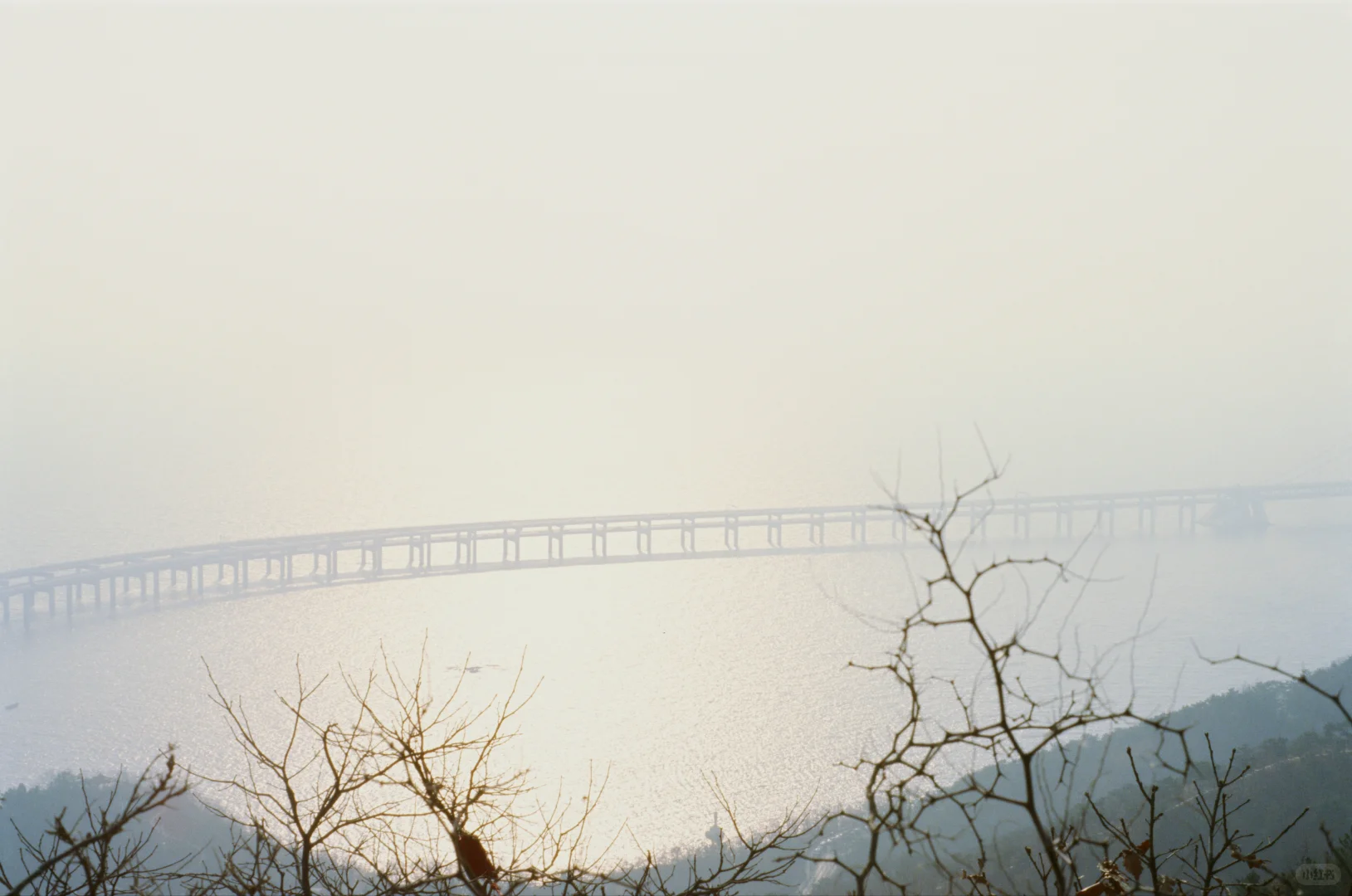 拍到电影女主角了！