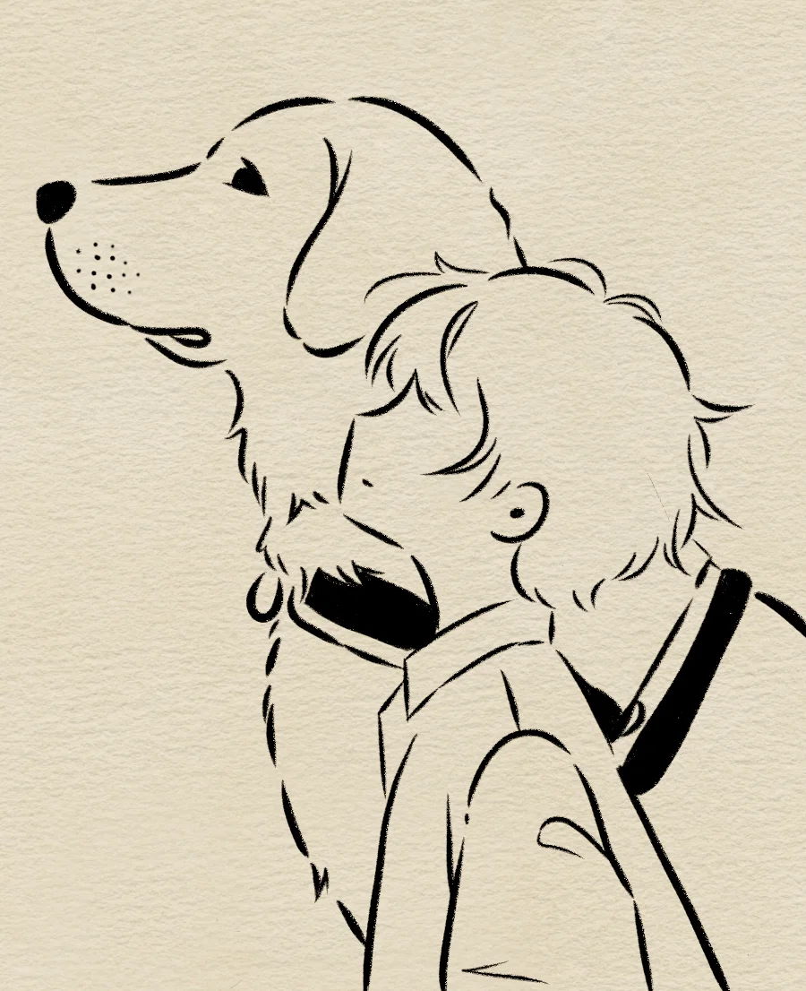 近期简笔画临摹合集