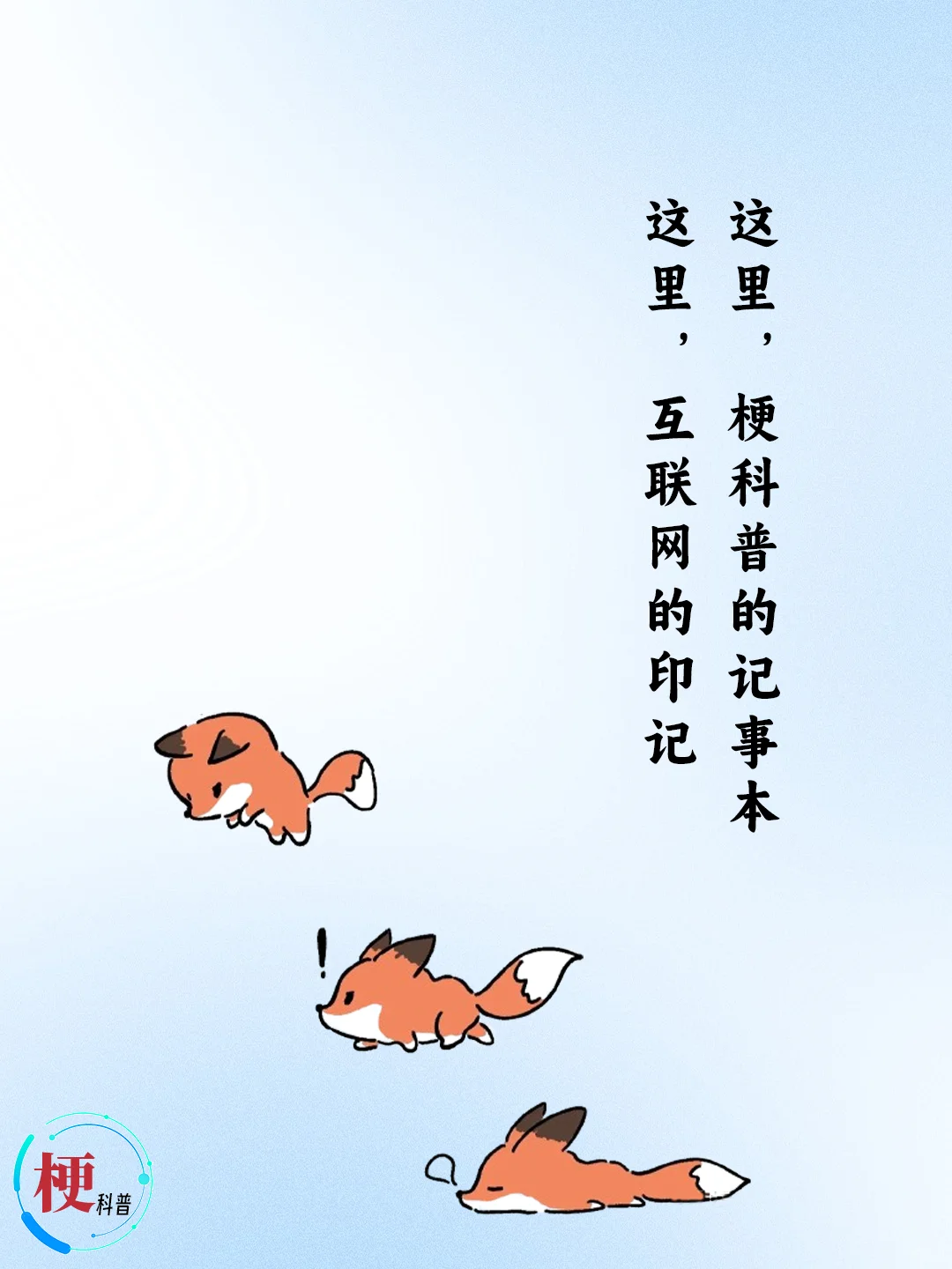 荷包蛋女生 是什么梗？【梗科普】