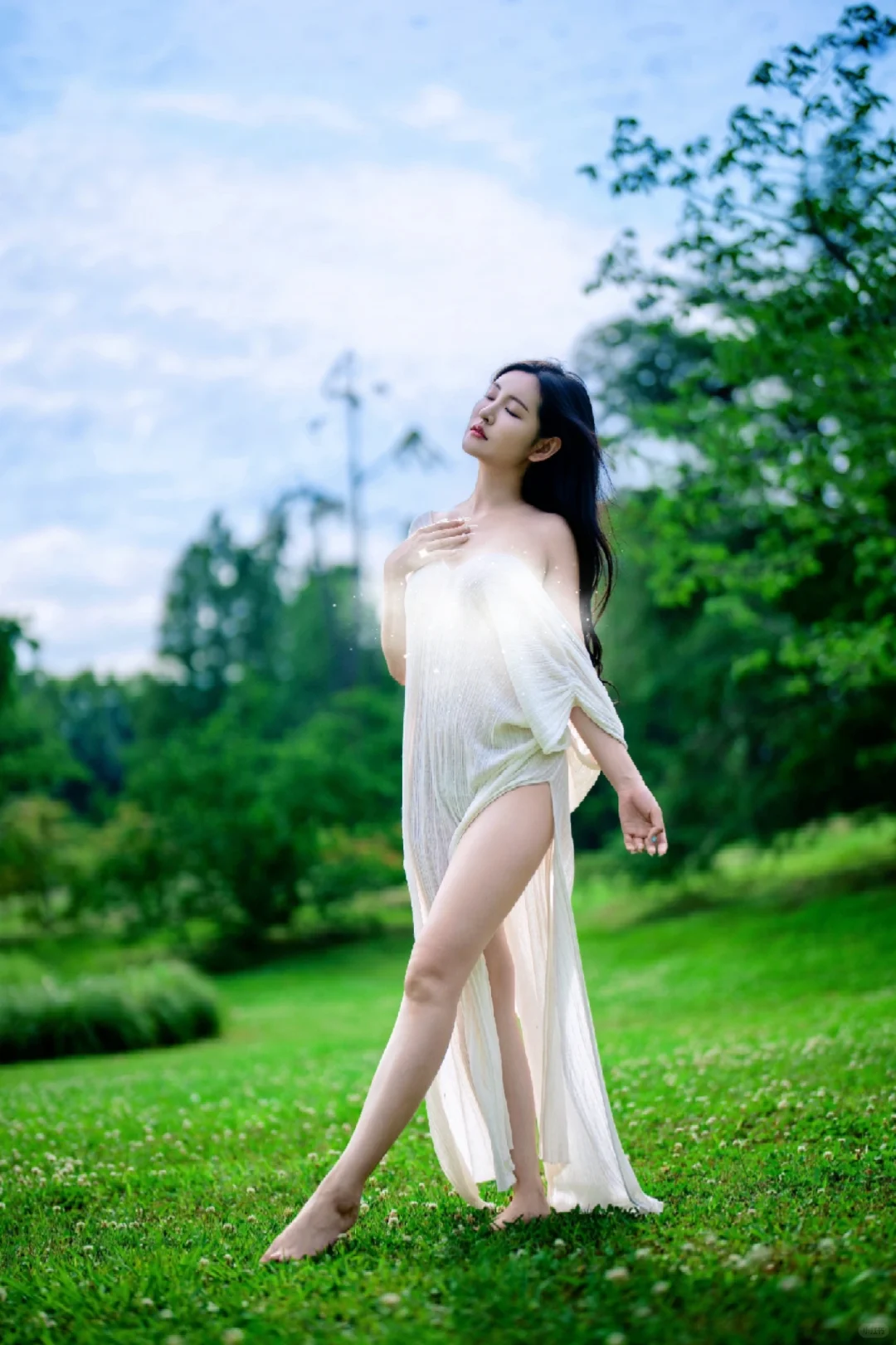 迷失在绿野之森🌿