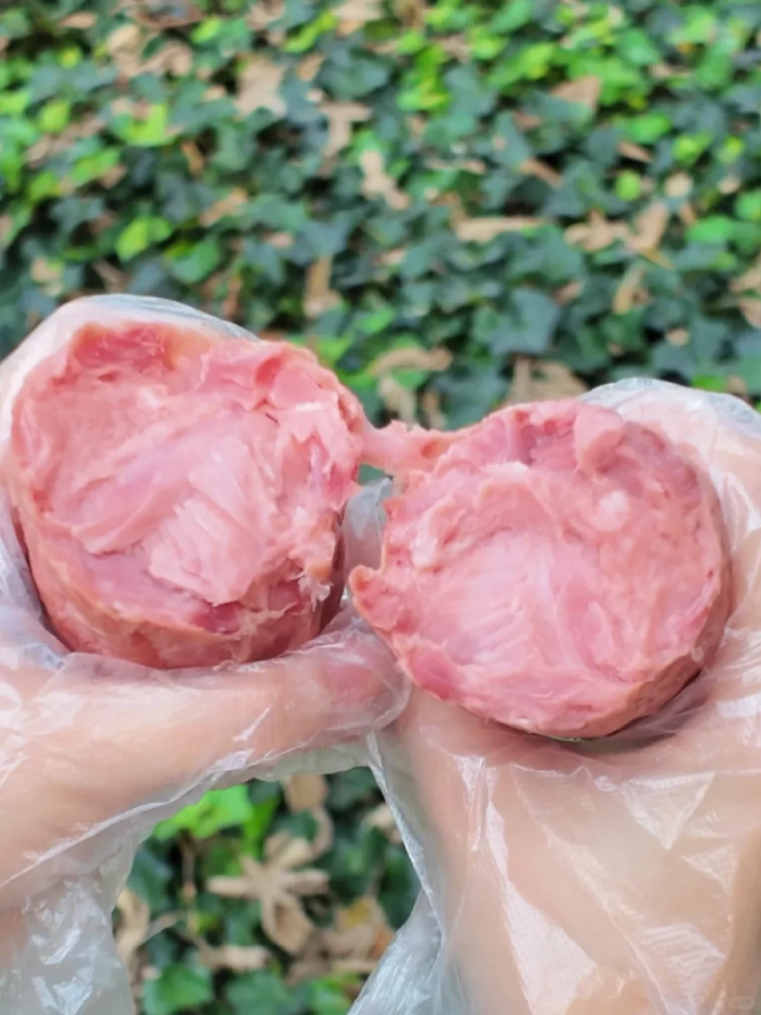 肉食控尖叫！这大块肉也太太太实在了吧！