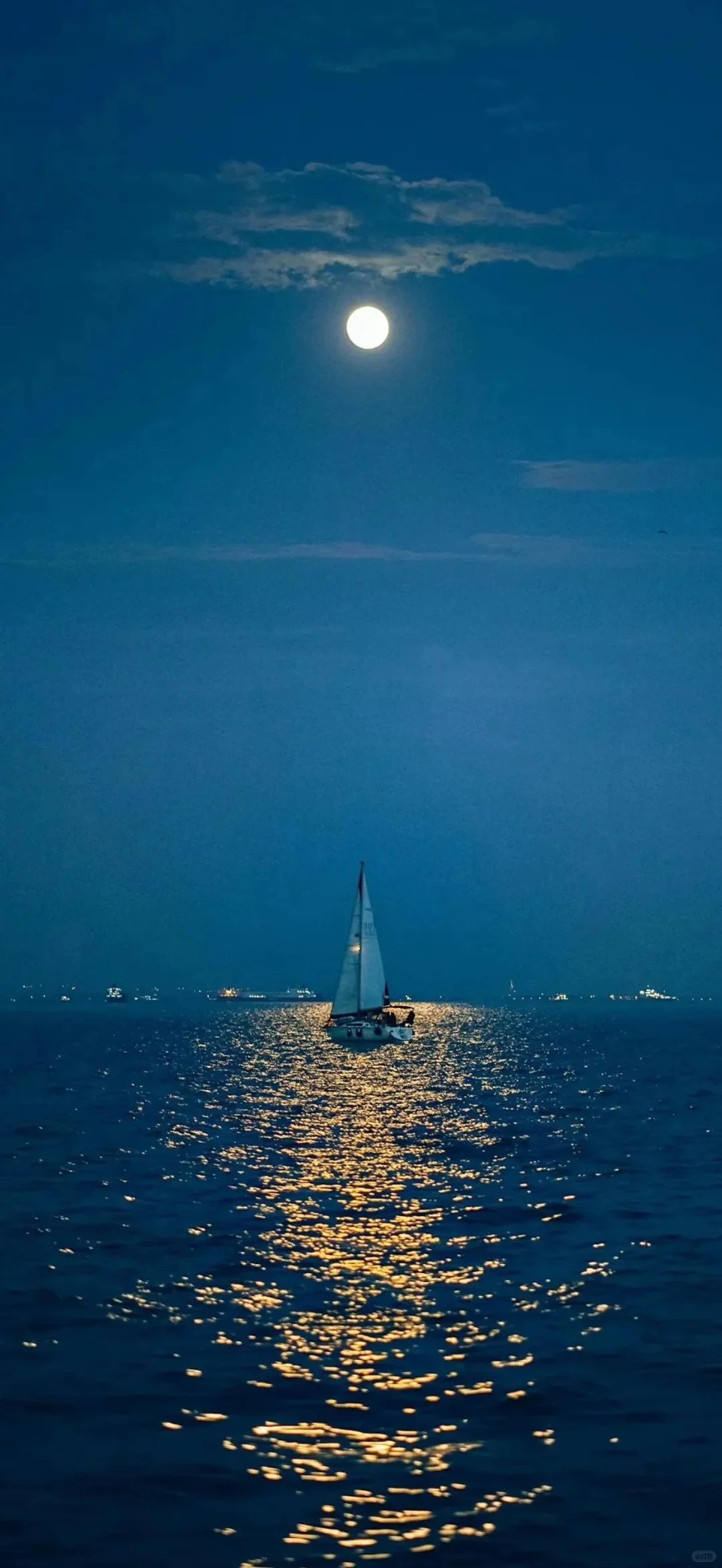 想你时风起 风起意难平