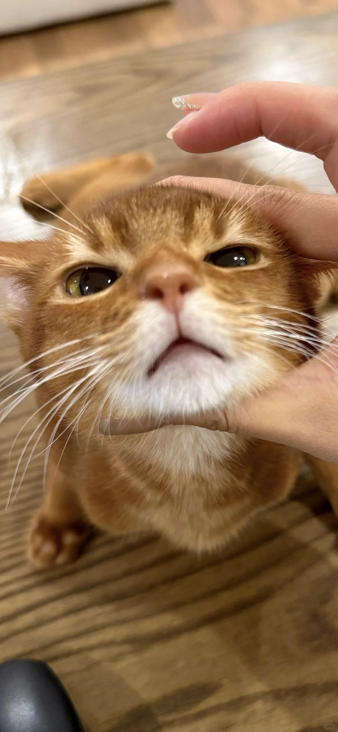 ins风小众氛围感壁纸分享•ᴥ•