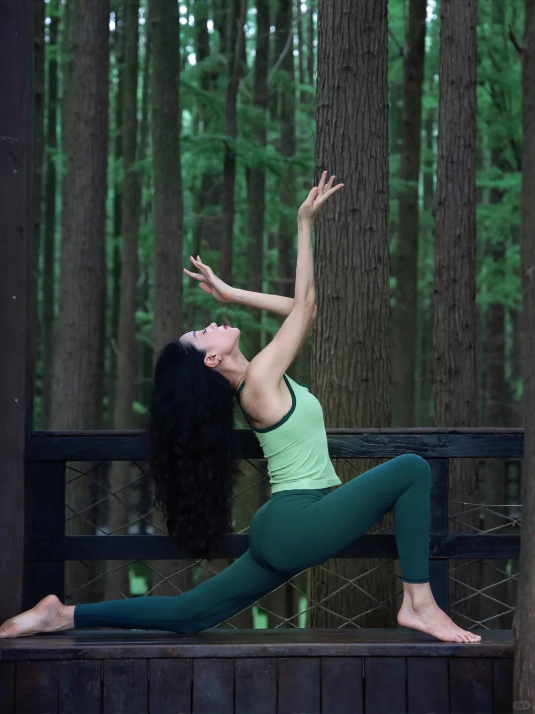 我猜你也一定喜欢绿色