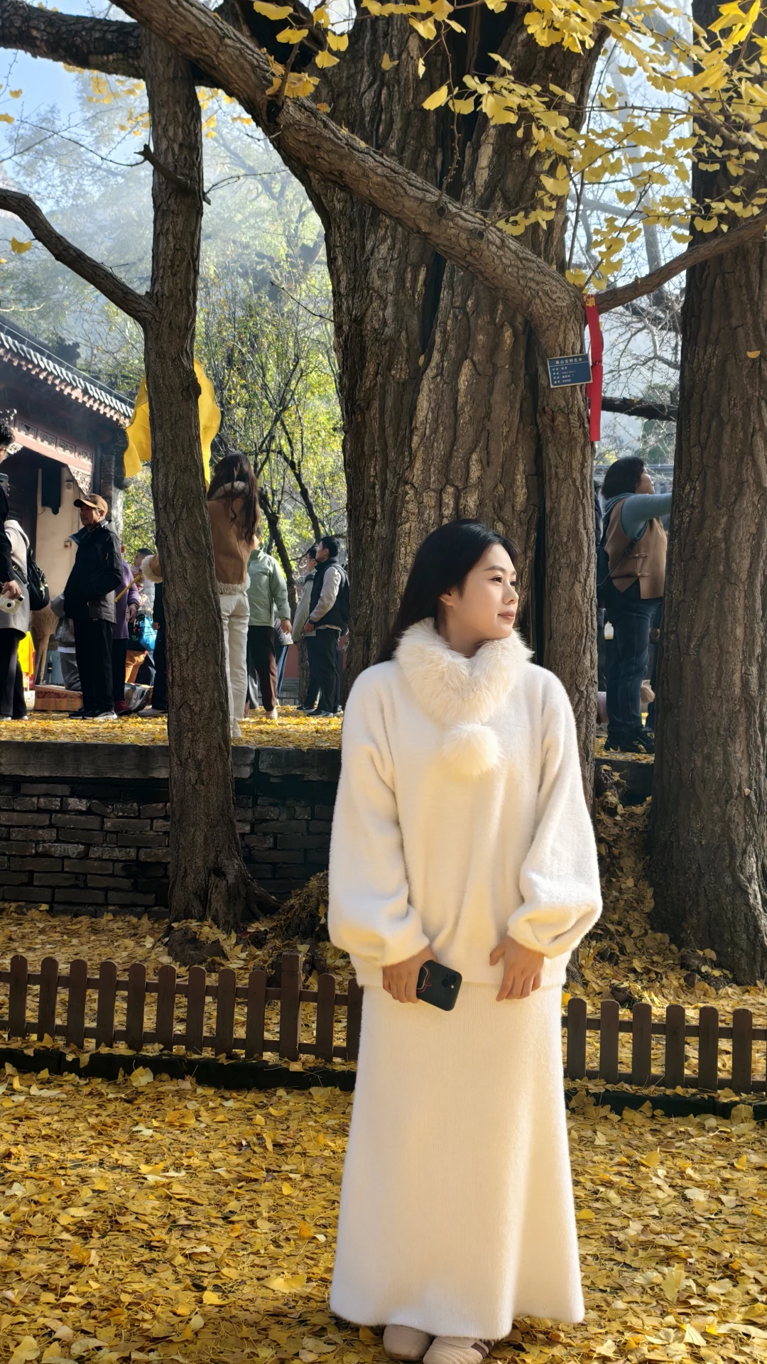 胯宽腿粗天菜！不过百平价穿搭🫨