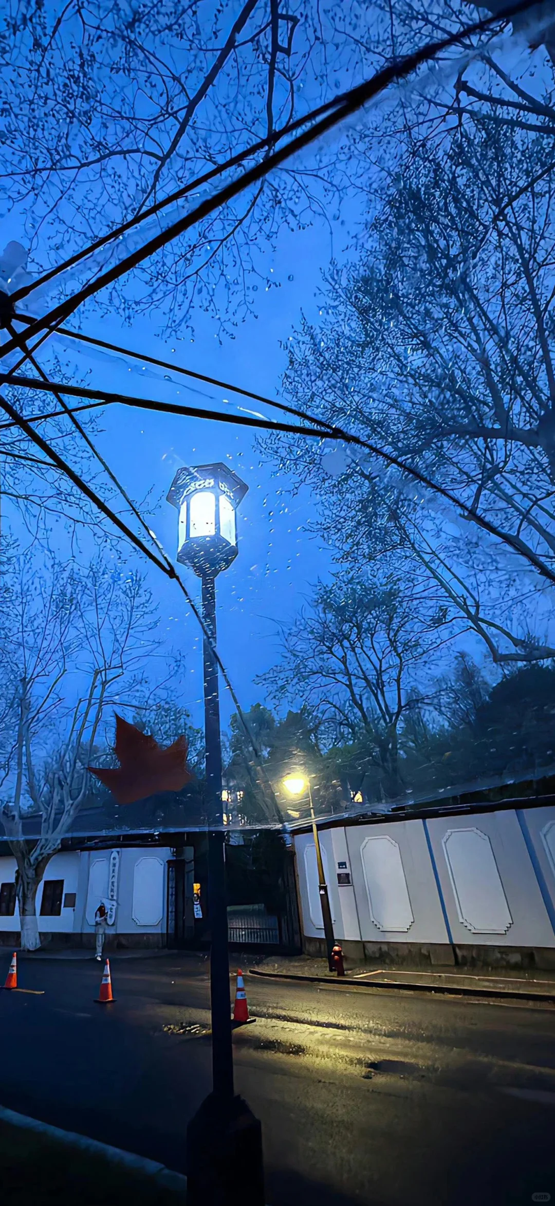 想你时风起 风起意难平