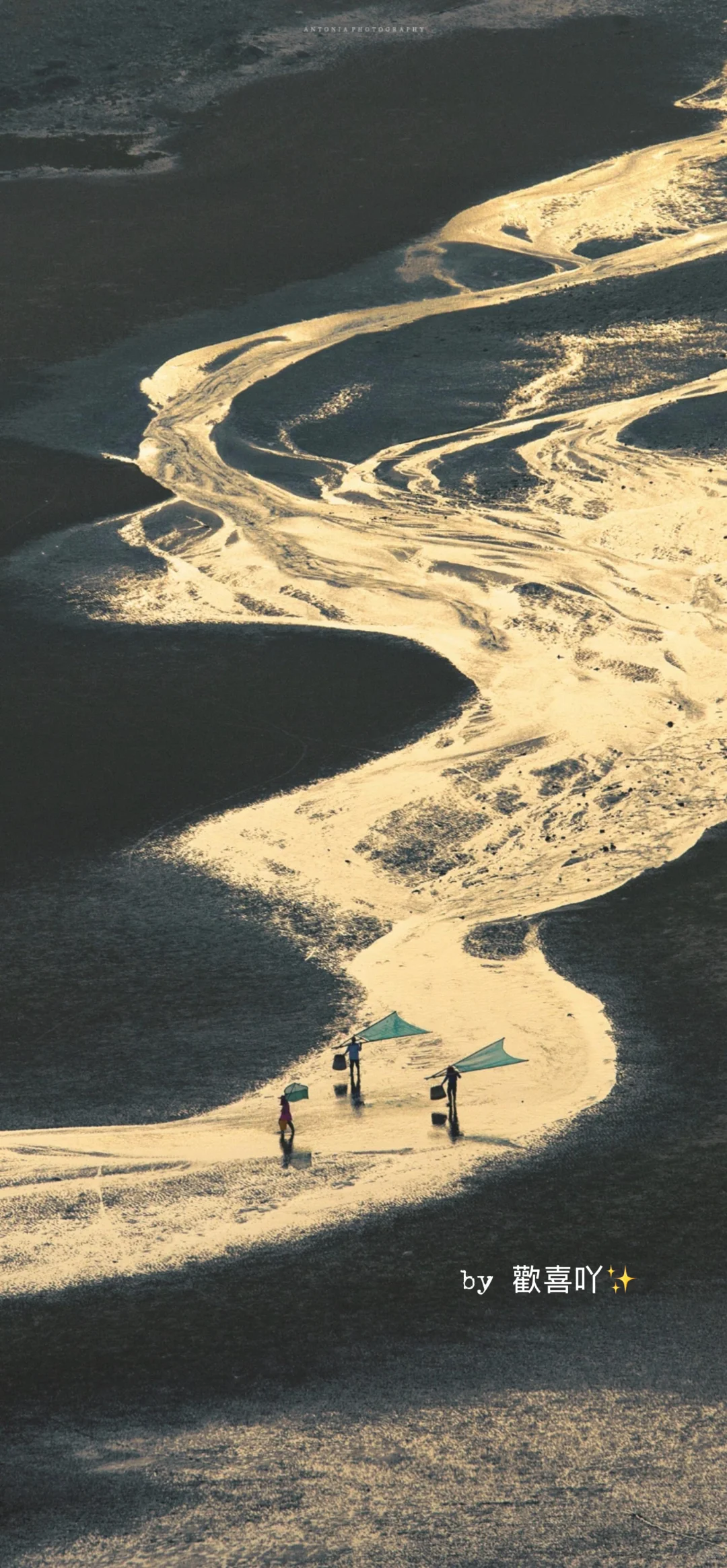 𝙨𝙝𝙖𝙧𝙚｜𝙞𝙣𝙨小众高级感手机壁纸📱