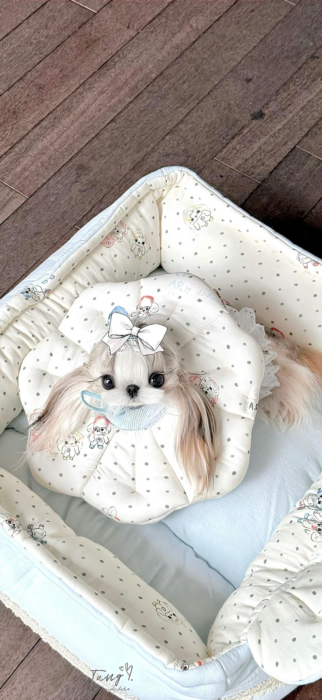 share🍥|氛围感壁纸⊹✮₊⋆