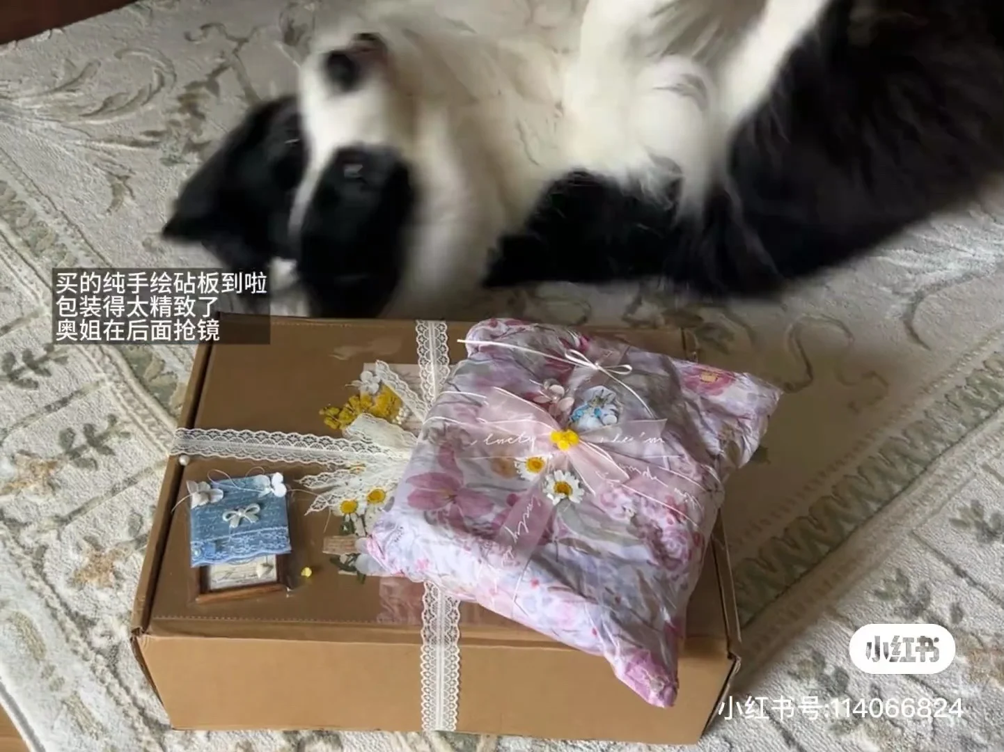 感谢小红书！让我遇到了超好的女孩子们！！！！！