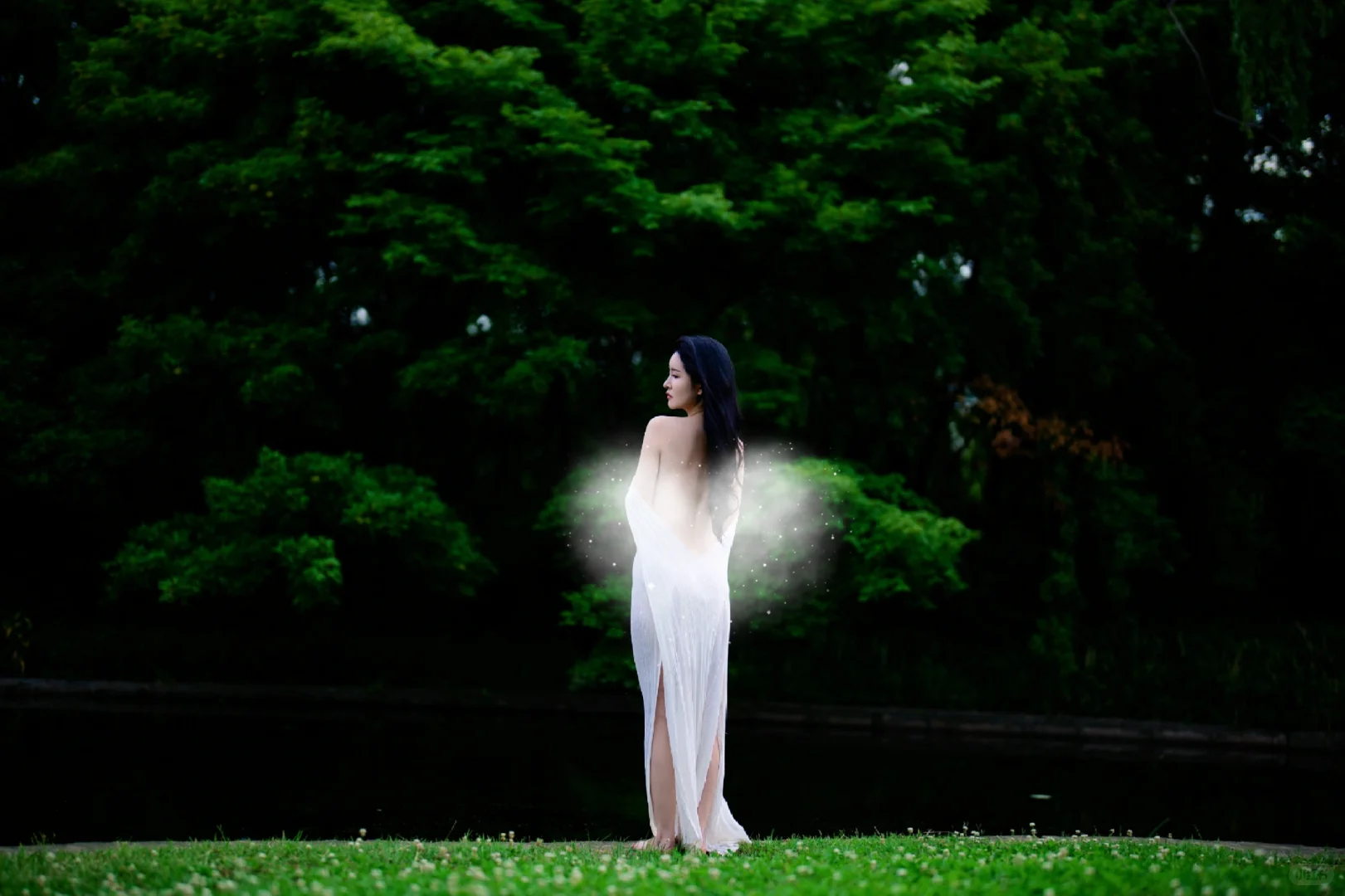 迷失在绿野之森🌿