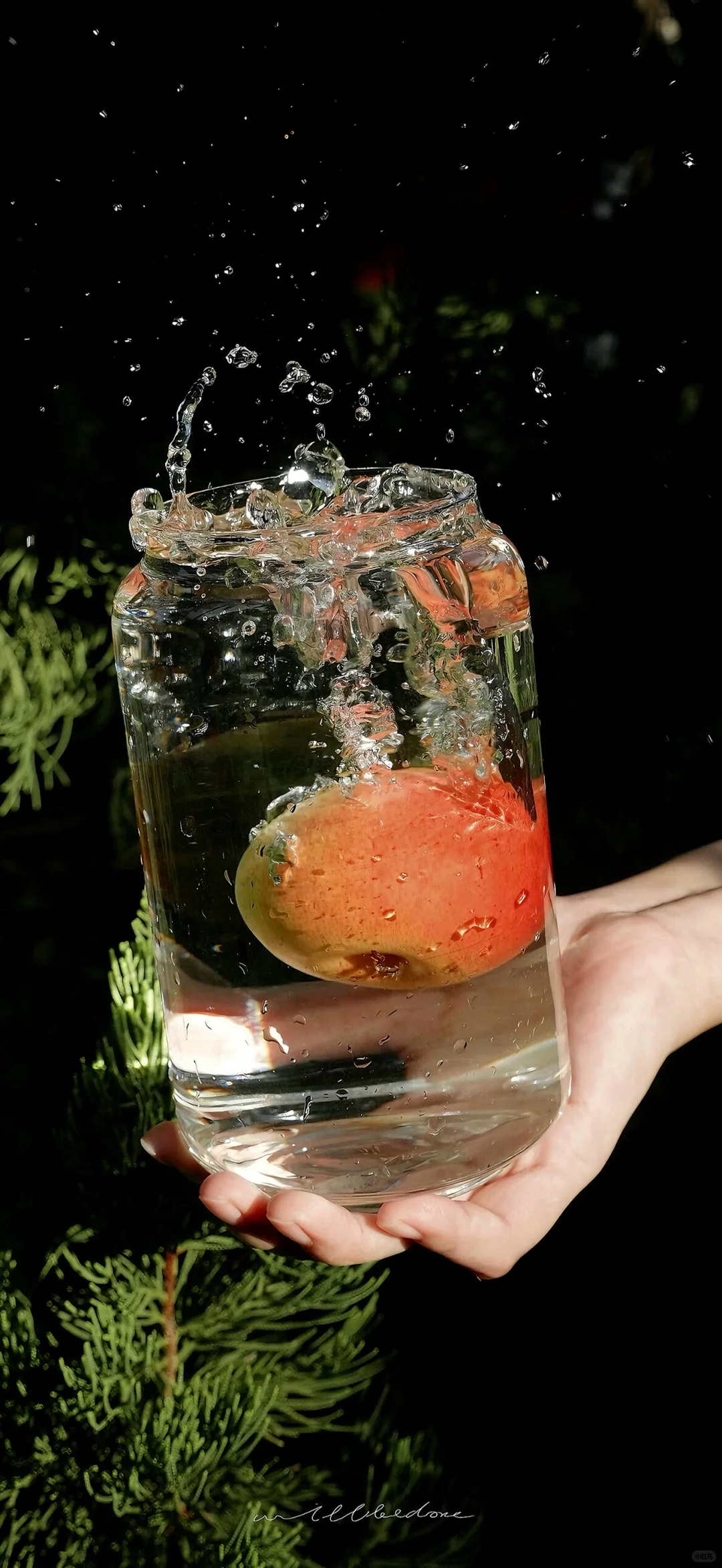 今日份壁纸｜小众高级感壁纸