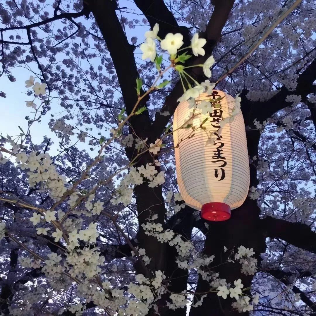 聊天背景 手机壁纸 朋友圈背景图