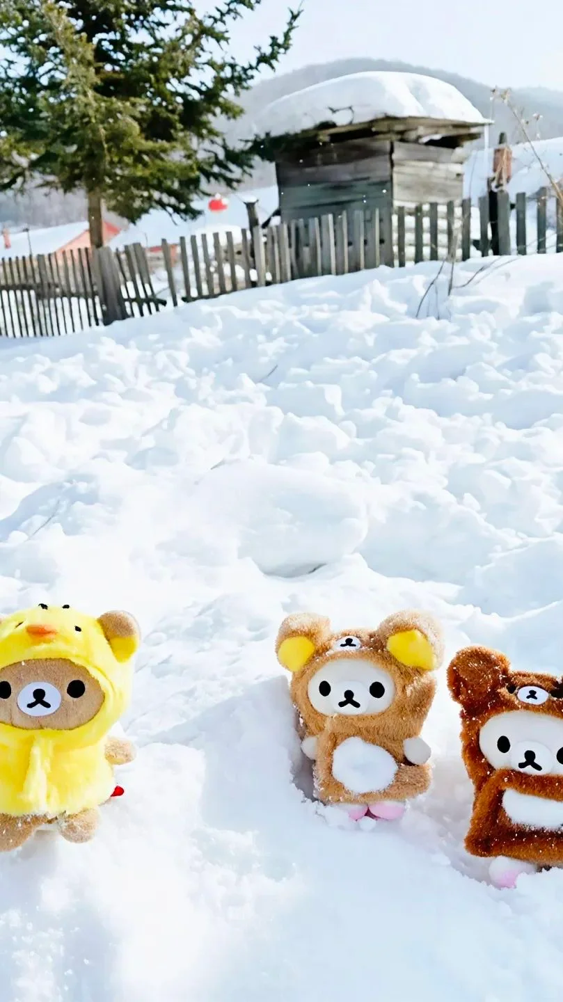 𝒘𝒆𝒄𝒉𝒂𝒕 ｜轻松熊壁纸