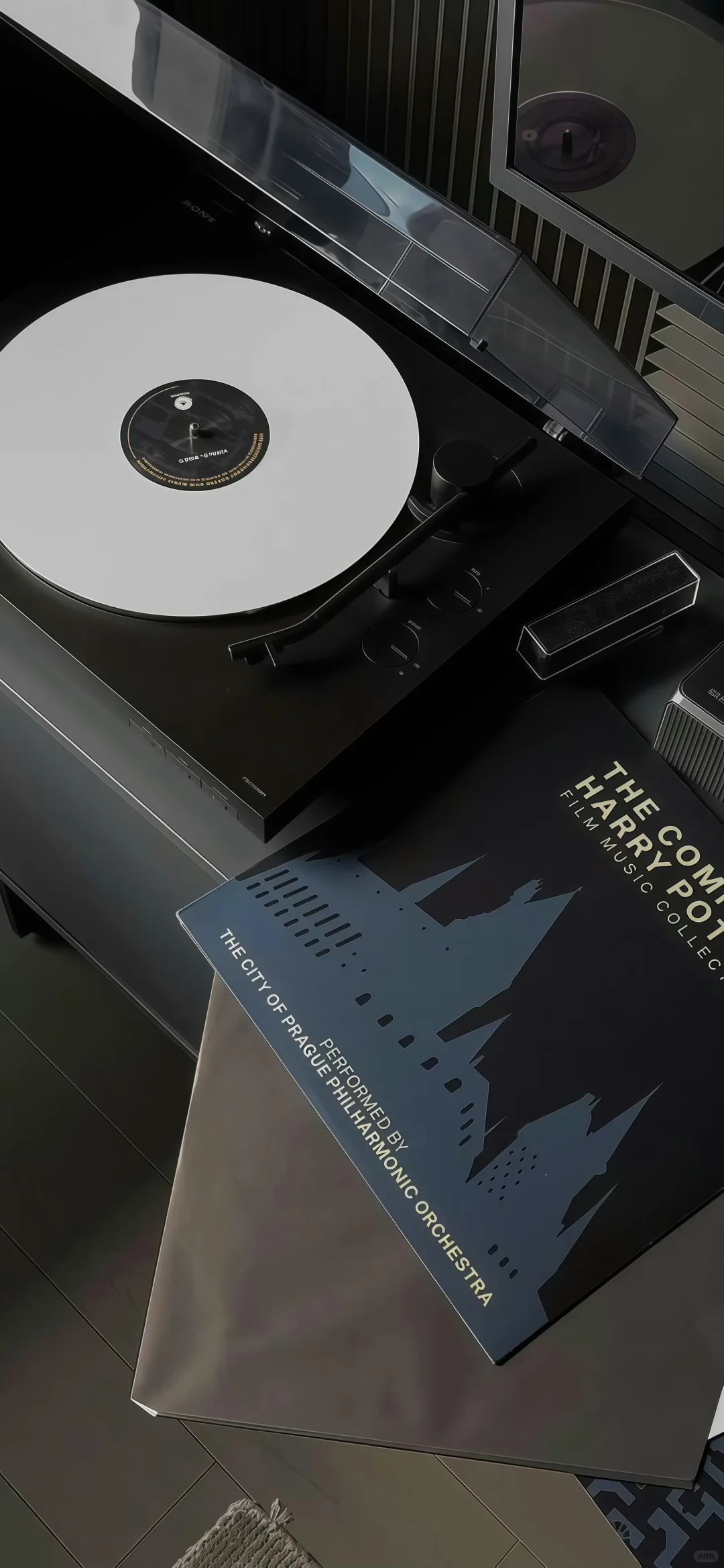 𝙎𝙃𝘼𝙍𝙀 🕸️ | ins高级感壁纸