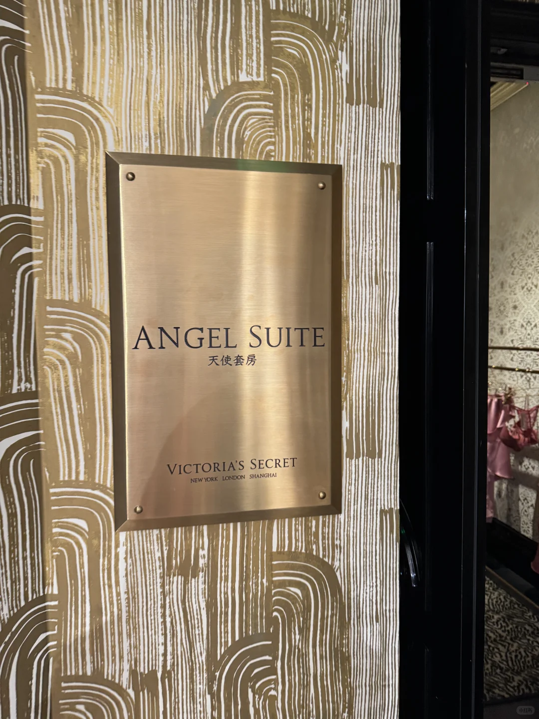 Angel suite