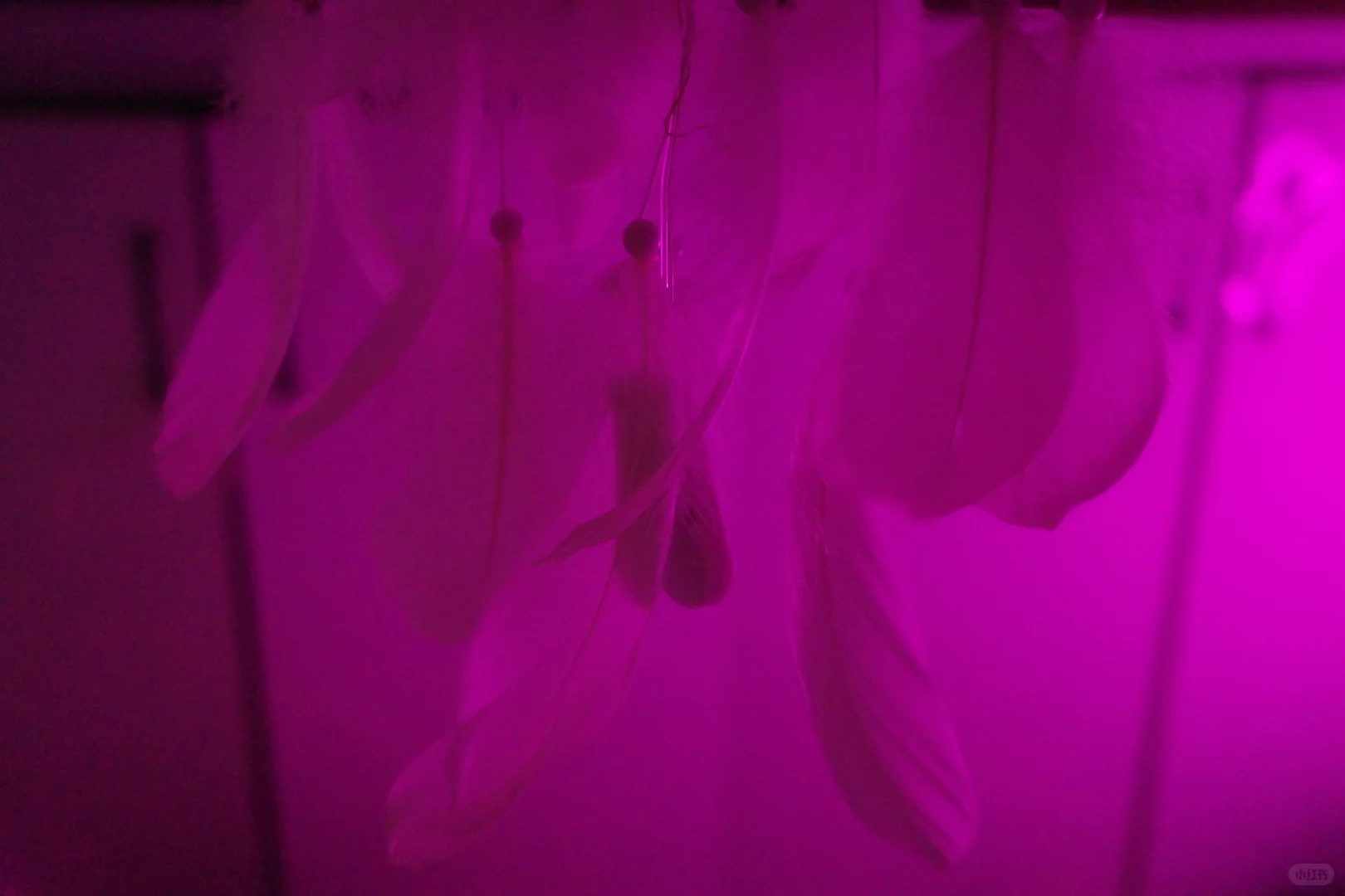 大数据请推给想拍女生视角私房的姐妹👭