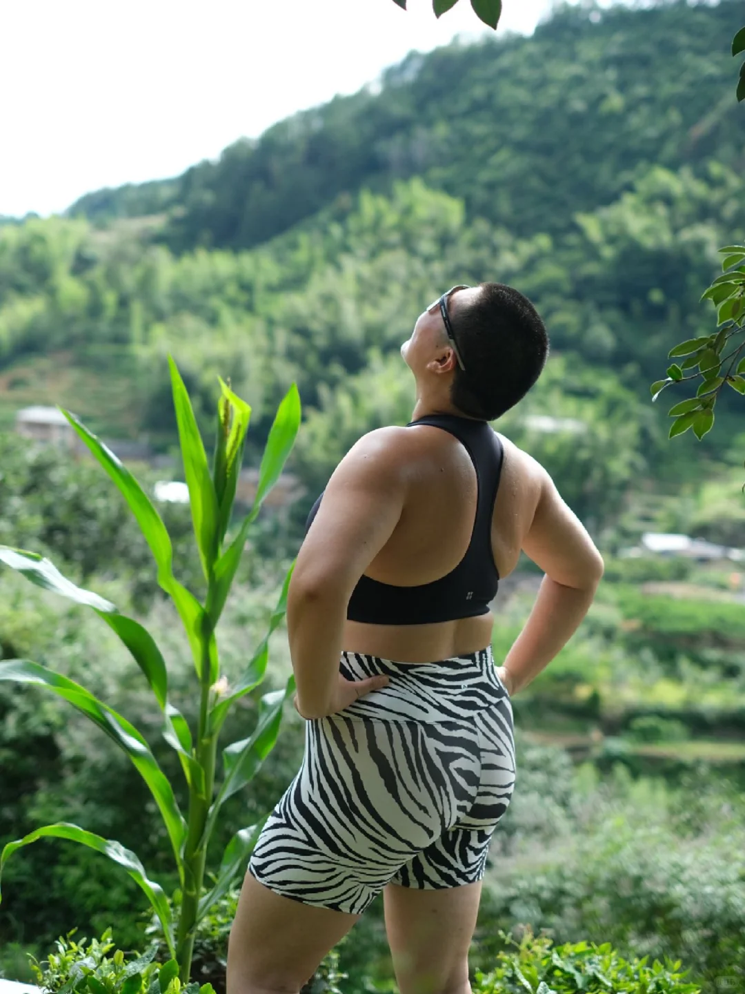 太好了，那我更新再勤快一些吧🤣