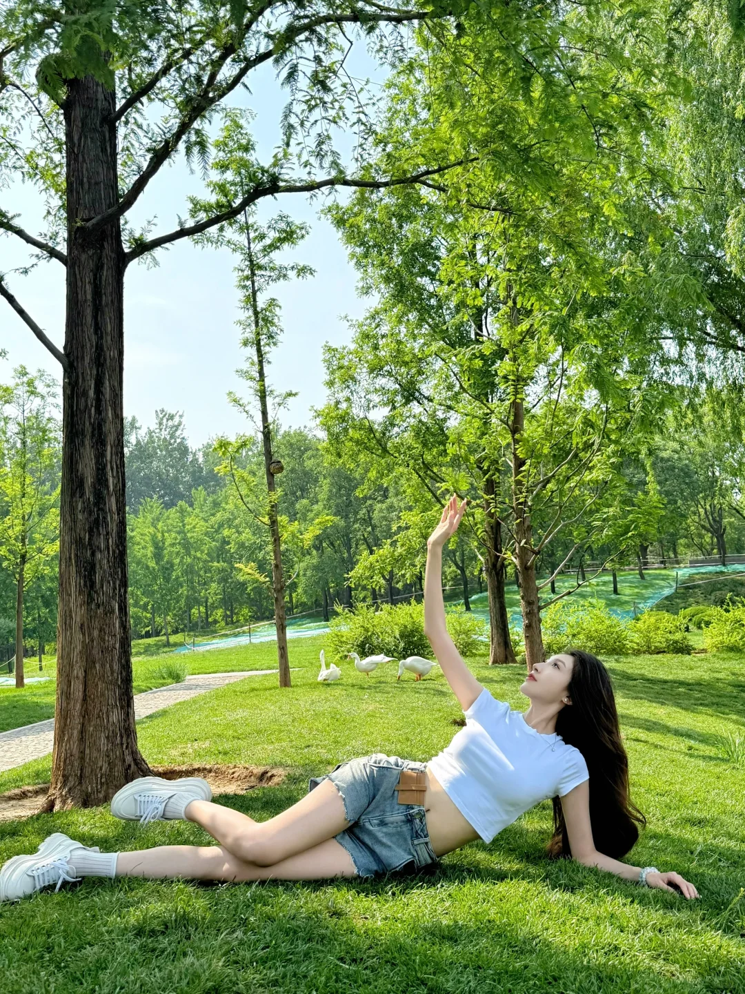 ☀️🍃我在阳光下往返于春天𓂃⟡