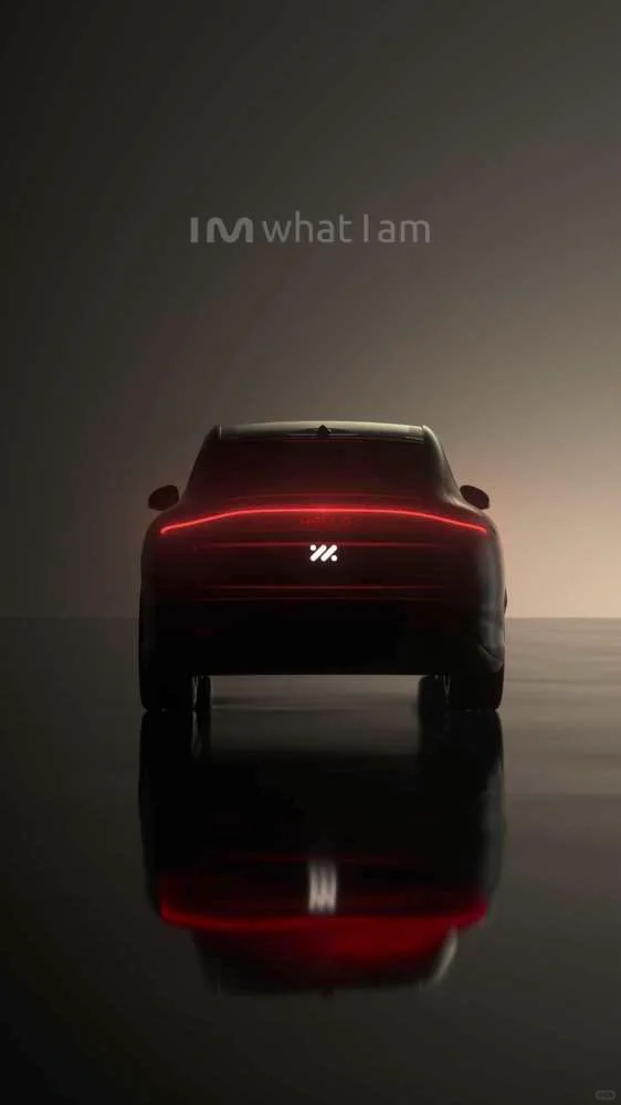 智己大玩具到手✋